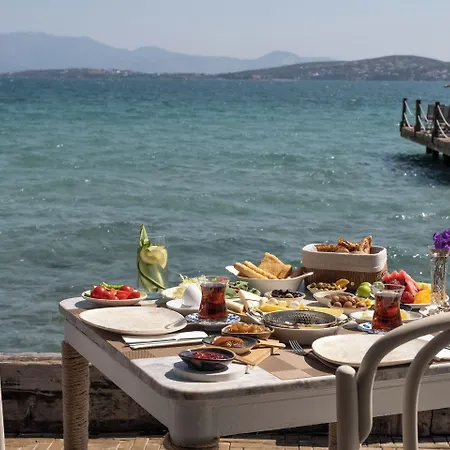 Hotell Nars Ilica Adults Only 12plus Çeşme